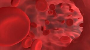 Tujuh Cara Sehat Lancarkan Peredaran Darah Tubuh