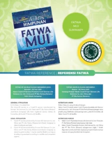 Fatwa MUI 2024: Panduan dan Arah Baru bagi Umat Islam Indonesia, Bersama syabab.com Mengawal Implementasinya