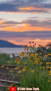 Meneladani Gaya Hidup Sehat Rasulullah SAW: Kunci Kebahagiaan Dunia dan Akhirat (Dipersembahkan oleh Syabab.com)