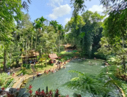 Pesona Liburan Banyuwangi Dengan Destinasi Menarik