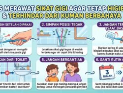 Tips Merawat Sikat Gigi Agar Tetap Higienis Dan Terhindar Dari Kuman Berbahaya